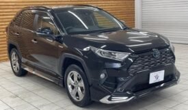 TOYOTA RAV4 HYBRID G