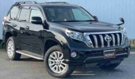 TOYOTA LAND CRUISER PRADO TZ-G