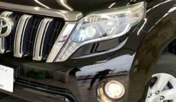 
										TOYOTA LAND CRUISER PRADO TX L full									