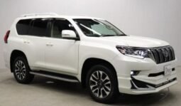 
										TOYOTA LAND CRUISER PRADO TZ-G full									