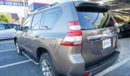 
										TOYOTA LAND CRUISER PRADO TX L full									