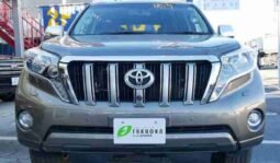 
										TOYOTA LAND CRUISER PRADO TX L full									