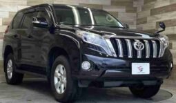 
										TOYOTA LAND CRUISER PRADO TX L full									