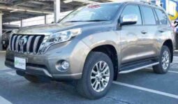 
										TOYOTA LAND CRUISER PRADO TX L full									