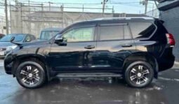 
										TOYOTA LAND CRUISER PRADO TX L full									