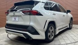 
										TOYOTA RAV4 G full									