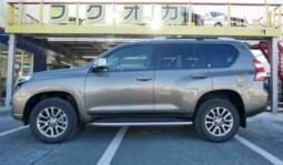 
										TOYOTA LAND CRUISER PRADO TX L full									