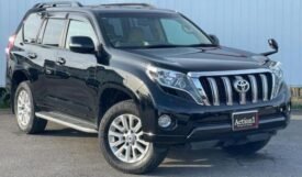 TOYOTA LAND CRUISER PRADO TZ-G