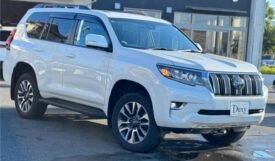 TOYOTA LAND CRUISER PRADO TZ PACKAGE