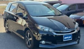 TOYOTA WISH 1.8S MONOTONE