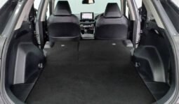 
										TOYOTA RAV4 G full									