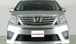 
										TOYOTA ALPHARD 240S C PACKAGE full									