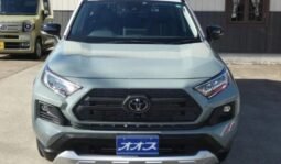 
										TOYOTA RAV4 ADVENTURE full									