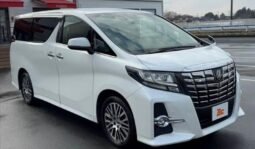 
										TOYOTA ALPHARD 3.5SA C PACKAGE full									