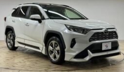 
										TOYOTA RAV4 G full									