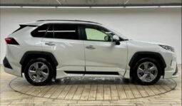 
										TOYOTA RAV4 G full									