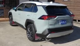 
										TOYOTA RAV4 ADVENTURE full									