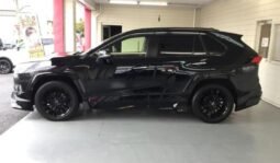 
										TOYOTA RAV4 G Z PACKAGE full									